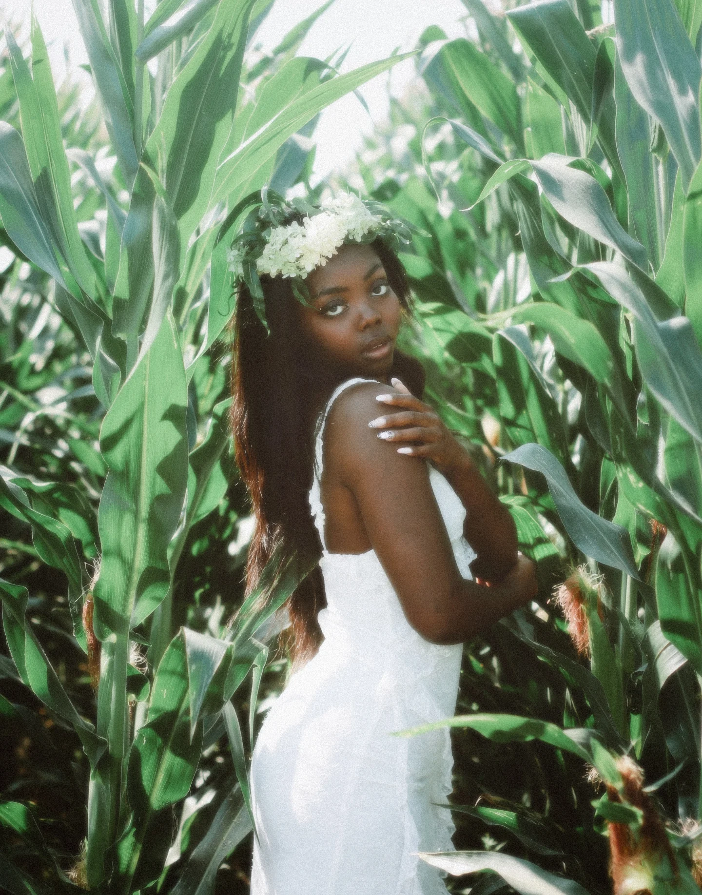 Sommer Isley by Agnieszka Wierzbińska-Olejnik